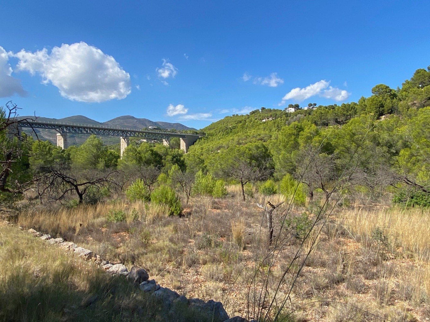Rustic land well located, quite flat, in rural area near Calpe.